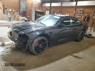 2013 Dodge Charger RT Plus with VIN 2C3CDXDT7DH683772, listed as a Copart auction lot 49431355 with 46,686 mi miles and Salvage Title. Bid and sale history available at carsss.com. Image 1.