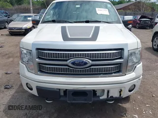 2010 Ford F-150 XL с VIN 1FTFW1EVXAFD58384, выставлен на аукционе IAAI как лот 42617712 с пробегом 162 653 миль миль и . История ставок и продаж доступна на DreamBid. Изображение 12.