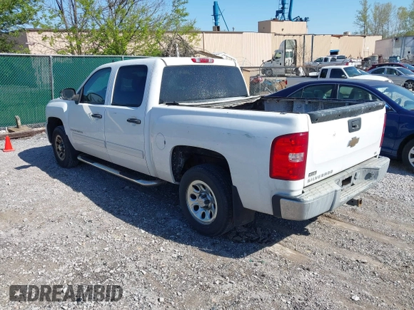 2009 Chevrolet Silverado 1500 LS with VIN 3GCEC13CX9G256034, listed as a IAAI auction lot 42049573 with 223,057 mi miles. Bid and sale history available at carsss.com. Image 3.