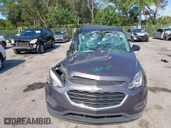 2016 Chevrolet Equinox LS with VIN 2GNFLEEK8G6255884, listed as a IAAI auction lot 40930513 with Not Provided miles and . Bid and sale history available at DreamBid. Image 12.
