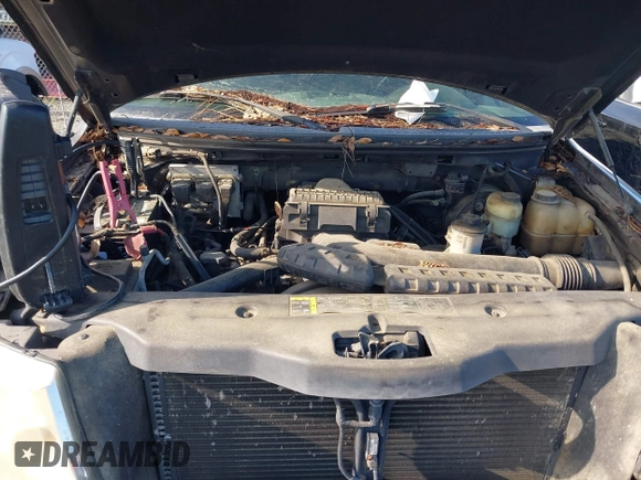 2004 Ford F-150 XLT with VIN 1FTPX14594NA05969, listed as a IAAI auction lot 42717160 with 239,537 mi miles and . Bid and sale history available at DreamBid. Image 10.