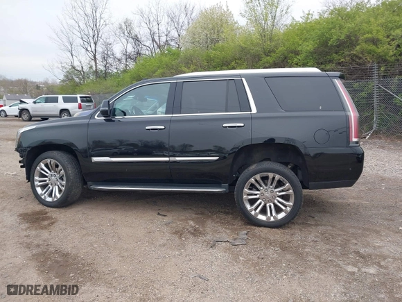 2019 Cadillac Escalade Premium Luxury with VIN 1GYS4CKJ5KR131129, listed as a IAAI auction lot 41983905 with 32,568 mi miles. Bid and sale history available at carsss.com. Image 15.