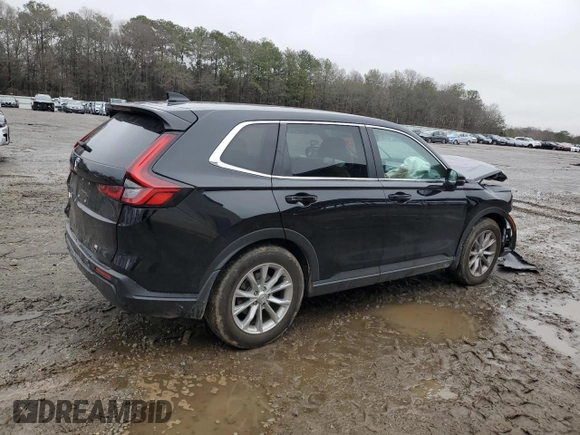 2024 Honda CR-V EX-L with VIN 2HKRS3H76RH324865, listed as a Copart auction lot 42231885 with Not Provided miles and Salvage Title. Bid and sale history available at DreamBid. Image 3.