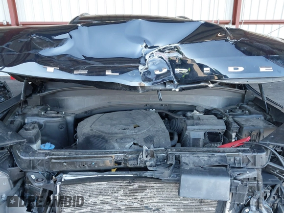 2020 Kia Telluride S with VIN 5XYP6DHC7LG032171, listed as a IAAI auction lot 41819840 with 112,572 mi miles and . Bid and sale history available at DreamBid. Image 10.