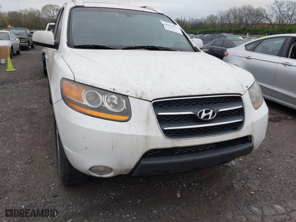 2008 Hyundai Santa Fe SE with VIN 5NMSH13E38H221411, listed as a IAAI auction lot 41907062 with 209,419 mi miles. Bid and sale history available at carsss.com. Image 6.