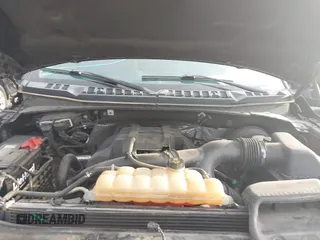 2016 Ford F-150 XL с VIN 1FTEX1CP2GKF10509, выставлен на аукционе IAAI как лот 42406612 с пробегом 111 956 миль миль и . История ставок и продаж доступна на DreamBid. Изображение 10.
