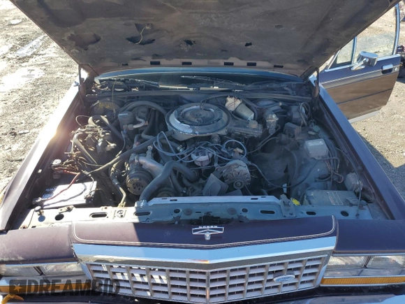 1983 Ford Crown Victoria z VIN 1FABP43F8DZ146309, wystawiony jako Copart lot #43996455 z przebiegiem 99 596 mil mil oraz Szkoda całkowita • Salvage title. Historia ofert i sprzedaży dostępna na DreamBid. Obrazek 11.