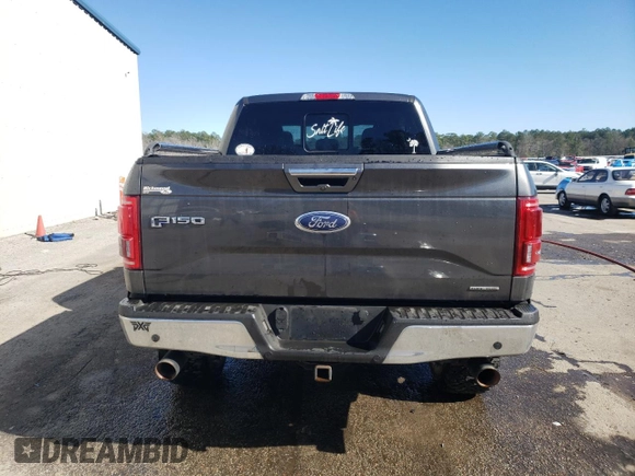 2016 Ford F-150 XLT with VIN 1FTEW1EF2GFA19213, listed as a Copart auction lot 49308655 with 122,838 mi miles and Salvage Title. Bid and sale history available at DreamBid. Image 6.