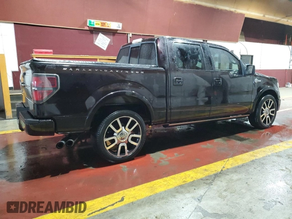 2010 Ford F-150 with VIN 1FTEW1CV3AFA48561, listed as a Copart auction lot 56859225 with 170,896 mi miles and Clean title. Bid and sale history available at DreamBid. Image 3.