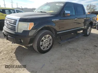 2009 Ford F-150 XL with VIN 1FTPW14V39FA46411, listed as a Copart auction lot 77964244 with 267,792 mi miles and Salvage title. Bid and sale history available at DreamBid. Image 1.