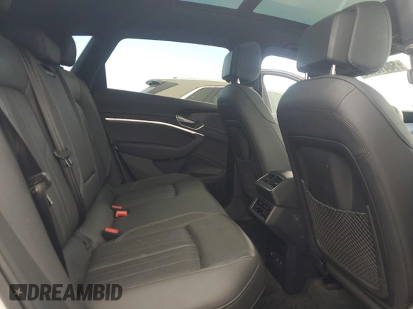 2023 Audi e-tron Premium Plus with VIN WA1LAAGE9PB025201, listed as a Copart auction lot 50419185 with 20,102 mi miles and Salvage title. Bid and sale history available at DreamBid. Image 11.