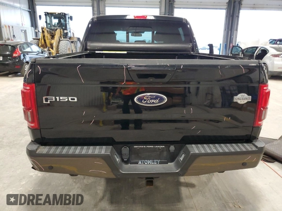 2016 Ford F-150 XLT with VIN 1FTEW1EG6GFA30417, listed as a Copart auction lot 62717765 with 125,726 mi miles and Salvage title. Bid and sale history available at DreamBid. Image 6.