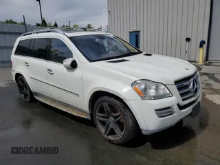 2010 Mercedes-Benz GL-Class GL 550 with VIN 4JGBF8GB9AA533534, listed as a Copart auction lot 52750025 with 171,030 mi miles and Clean Title. Bid and sale history available at carsss.com. Image 4.