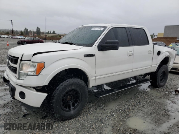 2012 Ford F-150 XL with VIN 1FTFW1ET1CFC09699, listed as a Copart auction lot 48253405 with 189,050 mi miles and Salvage Title. Bid and sale history available at carsss.com. Image 1.