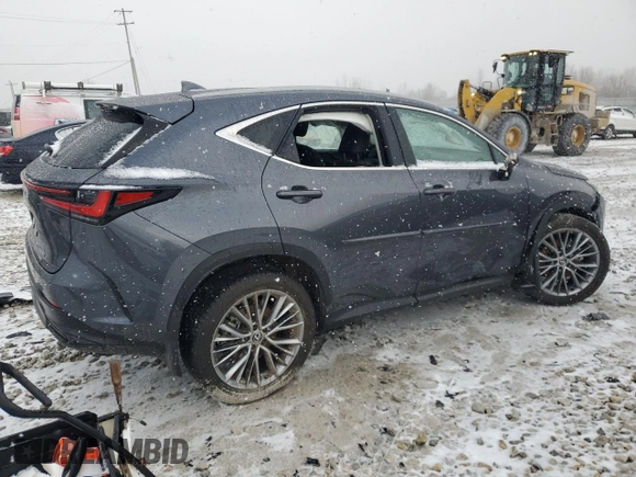2024 Lexus NX 350 Luxury with VIN 2T2HGCEZ9RC032032, listed as a Copart auction lot 49675905 with 35,441 mi miles and Salvage title. Bid and sale history available at DreamBid. Image 3.