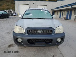 2003 Hyundai Santa Fe LX with VIN KM8SC73E63U536654, listed as a Copart auction lot 76224694 with 191,977 mi miles and Salvage Title. Bid and sale history available at carsss.com. Image 5.
