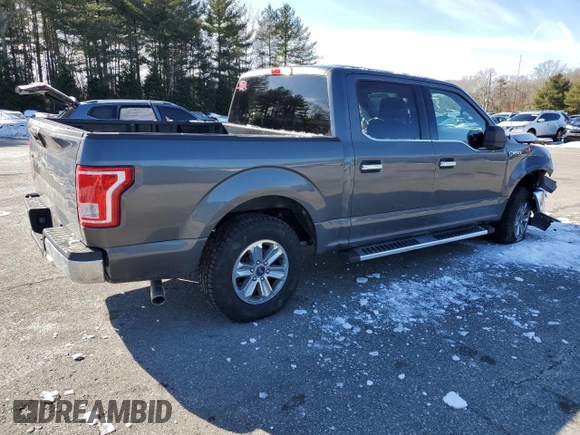 2017 Ford F-150 XL with VIN 1FTEW1EF8HFB34383, listed as a Copart auction lot 45608185 with Not Provided miles and Salvage Title. Bid and sale history available at carsss.com. Image 3.