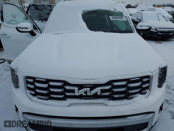 2024 Kia Telluride S with VIN 5XYP6DGC2RG564261, listed as a Copart auction lot 45869985 with 4,606 mi miles and Clean title. Bid and sale history available at DreamBid. Image 13.
