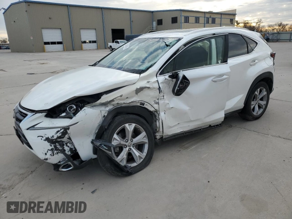 2017 Lexus NX with VIN JTJYARBZ1H2051519, listed as a Copart auction lot 87646765 with 95,862 mi miles and Salvage Title. Bid and sale history available at carsss.com. Image 1.