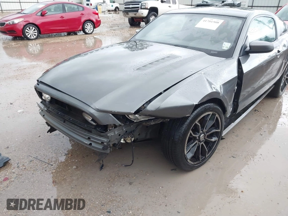 2013 Ford Mustang GT with VIN 1ZVBP8CFXD5252251, listed as a IAAI auction lot 41701508 with 171,781 mi miles. Bid and sale history available at carsss.com. Image 6.