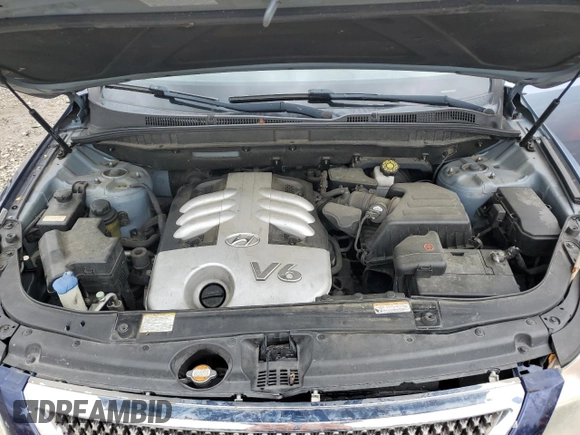 2007 Hyundai Veracruz GLS with VIN KM8NU13C87U027368, listed as a Copart auction lot 58768895 with 195,183 mi miles and Non repairable. Bid and sale history available at DreamBid. Image 12.