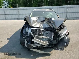 2016 Kia Sorento EX with VIN 5XYPH4A59GG107030, listed as a Copart auction lot 57551545 with Not provided miles and Salvage title. Bid and sale history available at DreamBid. Image 14.