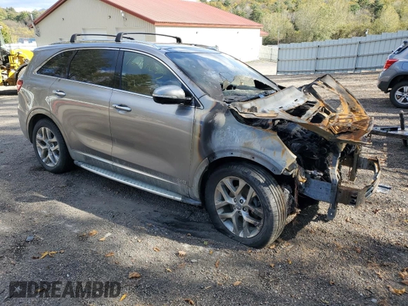 2019 Kia Sorento SX Limited with VIN 5XYPKDA56KG512725, listed as a Copart auction lot 72247033 with Not Provided miles and Salvage Title. Bid and sale history available at carsss.com. Image 4.