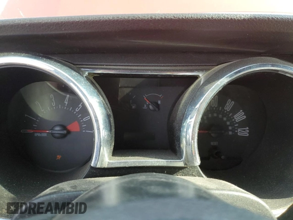 2006 Ford Mustang Standard with VIN 1ZVFT84N465151325, listed as a Copart auction lot 50571645 with Not Provided miles and Clean Title. Bid and sale history available at carsss.com. Image 9.