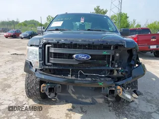 2013 Ford F-150 XL z VIN 1FTFX1EF3DFB81137, wystawiony jako IAAI lot #42426728 z przebiegiem 208 700 mil mil oraz . Historia ofert i sprzedaży dostępna na DreamBid. Obrazek 6.
