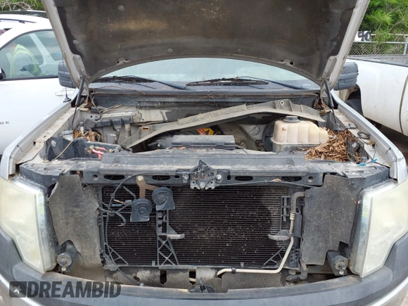2011 Ford F-150 XL with VIN 1FTEX1CM0BFA48877, listed as a IAAI auction lot 42044412 with 217,191 mi miles and . Bid and sale history available at DreamBid. Image 10.
