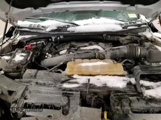 2018 Ford F-150 Raptor с VIN 1FTFW1RG3JFA79564, выставлен на аукционе Copart как лот 86088594 с пробегом 164 489 миль миль и Списание • Salvage title. История ставок и продаж доступна на DreamBid. Изображение 13.