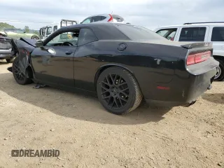 2013 Dodge Challenger R/T with VIN 2C3CDYBT8DH605090, listed as a Copart auction lot 46374155 with Not Provided miles and Salvage Title. Bid and sale history available at carsss.com. Image 2.