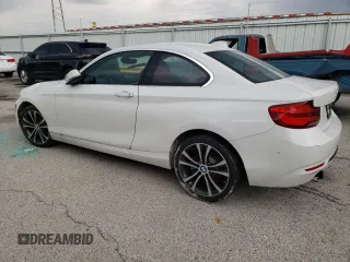 2018 BMW 2 Series 230i with VIN WBA2J1C52JVD09153, listed as a Copart auction lot 58341493 with 36,163 mi miles. Bid and sale history available at carsss.com. Image 2.