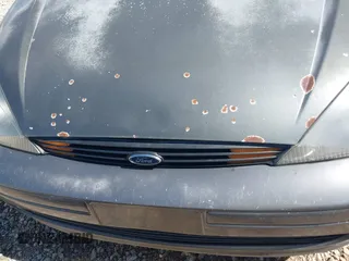 2004 Ford Focus SE with VIN 1FAFP34394W152606, listed as a IAAI auction lot 41833454 with 287,290 mi miles and . Bid and sale history available at DreamBid. Image 6.
