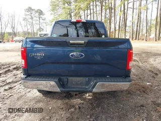 2017 Ford F-150 XL with VIN 1FTEW1CF0HFC11119, listed as a IAAI auction lot 41600880 with 118,466 mi miles. Bid and sale history available at carsss.com. Image 17.