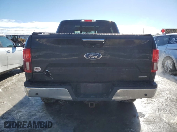 2018 Ford F-150 XL with VIN 1FTEW1EG0JFB07905, listed as a Copart auction lot 43065005 with 132,923 mi miles and Salvage Title. Bid and sale history available at carsss.com. Image 6.