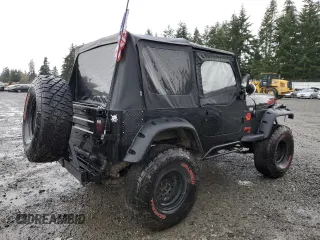 1994 Jeep Wrangler with VIN 1J4FY29SXRP426229, listed as a Copart auction lot 81769314 with 200,005 mi miles and Salvage Title. Bid and sale history available at carsss.com. Image 3.