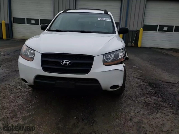 2009 Hyundai Santa Fe GLS with VIN 5NMSG13D09H279116, listed as a Copart auction lot 52294305 with 220,930 mi miles and Salvage Title. Bid and sale history available at carsss.com. Image 12.