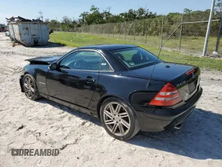 2002 Mercedes-Benz SLK-Class 2.3L Kompressor with VIN WDBKK49F02F269048, listed as a Copart auction lot 74830014 with 192,603 mi miles and Salvage Title. Bid and sale history available at carsss.com. Image 3.