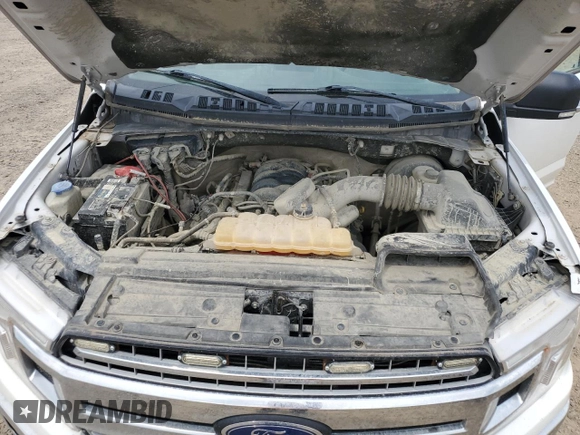 2019 Ford F-150 XL with VIN 1FTEW1C56KFA68465, listed as a Copart auction lot 54219065 with 180,930 mi miles and Clean Title. Bid and sale history available at carsss.com. Image 11.