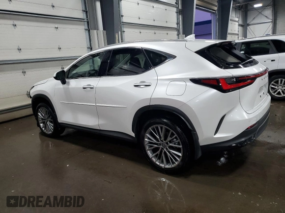 2023 Lexus NX with VIN JTJHGCEZ8P5004654, listed as a Copart auction lot 86502314 with 20,614 mi miles and Salvage Title. Bid and sale history available at carsss.com. Image 2.