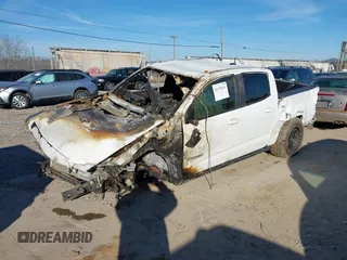 2015 Chevrolet Colorado 4WD Z71 with VIN 1GCGTCE3XF1207119, listed as a IAAI auction lot 41179141 with Not provided miles and . Bid and sale history available at DreamBid. Image 16.