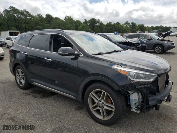 2019 Hyundai Santa Fe XL Limited Ultimate with VIN KM8SRDHF9KU306703, listed as a Copart auction lot 64034923 with 46,123 mi miles. Bid and sale history available at carsss.com. Image 4.
