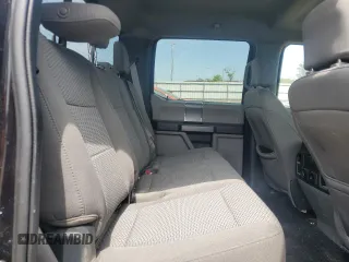 2019 Ford F-150 XL with VIN 1FTFW1E45KKF07123, listed as a Copart auction lot 53638455 with Not Provided miles and Salvage Title. Bid and sale history available at carsss.com. Image 10.