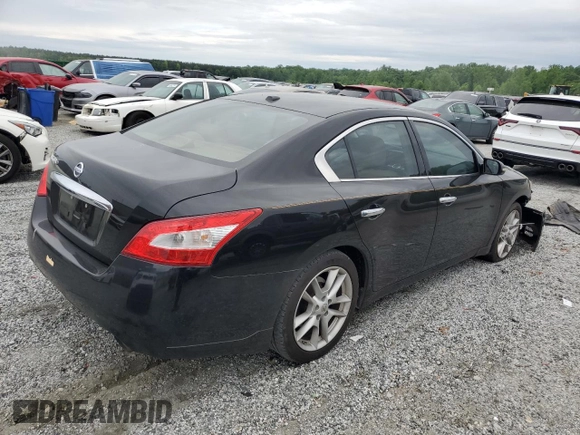 2010 Nissan Maxima SV with VIN 1N4AA5AP1AC863518, listed as a Copart auction lot 56188795 with 115,377 mi miles and Salvage title. Bid and sale history available at DreamBid. Image 3.