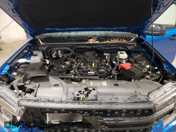 2024 Ford Ranger XL with VIN 1FTER4PH4RLE12027, listed as a Copart auction lot 81524864 with 7,155 mi miles and Salvage Title. Bid and sale history available at carsss.com. Image 11.
