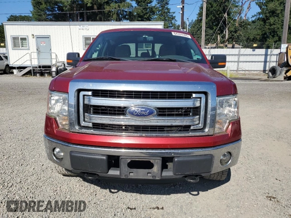 2013 Ford F-150 XL with VIN 1FTFW1EF1DFA75532, listed as a Copart auction lot 64324395 with 135,654 mi miles and Salvage title. Bid and sale history available at DreamBid. Image 5.