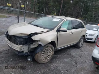 2014 Lincoln MKX with VIN 2LMDJ6JK6EBL06238, listed as a IAAI auction lot 41604943 with 188,639 mi miles. Bid and sale history available at carsss.com. Image 2.