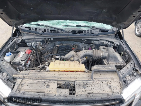 2018 Ford F-150 XL with VIN 1FTEW1E56JKF92265, listed as a IAAI auction lot 42285305 with 95,712 mi miles and . Bid and sale history available at DreamBid. Image 10.