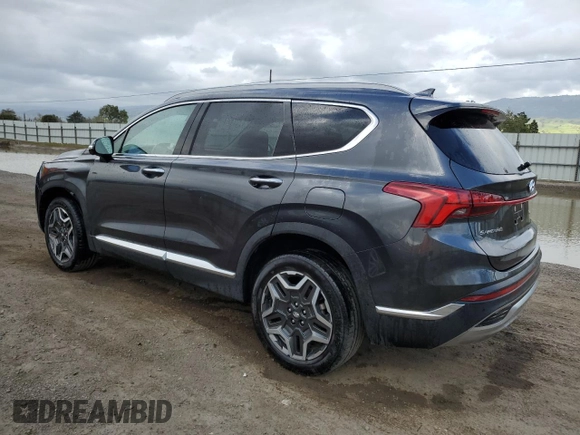 2023 Hyundai Santa Fe Limited with VIN 5NMS4DAL6PH516967, listed as a Copart auction lot 51137385 with 55,902 mi miles and Salvage Title. Bid and sale history available at carsss.com. Image 2.
